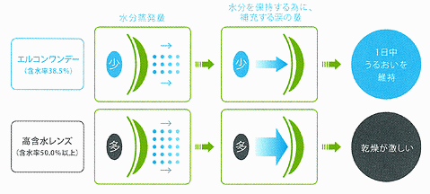 エルコンワンデーの特色