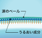 コンタクトレンズ　デザイン説明